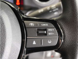 ◆アダプティブクルーズコントロール◆予め設定した車速内でクルマが自動的に加減速。前走車との適切な車間距離を維持しながら追従走行します。【LKAS】車線維持支援システムでステアリング操作を支援。