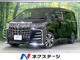 純正エアロ 9型BIG-X バックカメラ 後席モニター 両側電動スライド