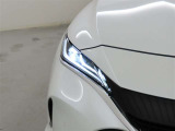 精悍な目つきのLEDヘッドランプを装備しております。