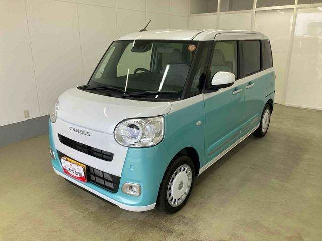 ムーヴキャンバス  ストライプス G