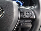 レーダークルーズコントロール作動時に車線維持に必要な運転操作の支援を行う「レーントレーシングアシスト(LTA)」を搭載しています。