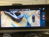 時間や距離的な都合で実車をご覧になれないお客様、ご安心下さい。私共がお客様の目の代わりとなって、お車を確認させて頂きます。詳細の写真を撮影しメール等でお送りさせて頂きます。お気軽にお申し付け下さい。