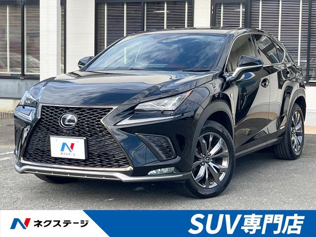 NX 300h Fスポーツ 