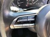 ステアリング左にはオーディオ系システムがまとまっており、運転中の快適性をサポートしてくれます。
