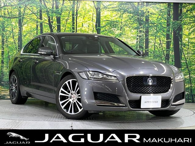 XF 25t プレステージ