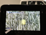 停車中にテレビ映像を視聴でき、待ち時間を車内で過ごす際にも便利です。画面で放送内容を確認できるため、休憩中の情報収集や気分転換にも活用できます。