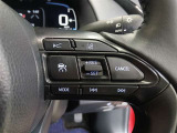 ステアリング右側には、運転支援機能を手元で操作できるスイッチ類を配置しています