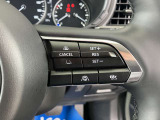 登録した速度に保ち走行するレーダークルーズコントロール付き。高速やバイパスでの運転支援に役立つ便利アイテムです!
