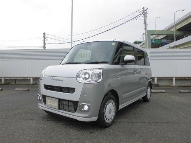 ムーヴキャンバス  ストライプス G
