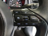 ステアリング右側には、運転支援機能を手元で操作できるスイッチ類を配置しています