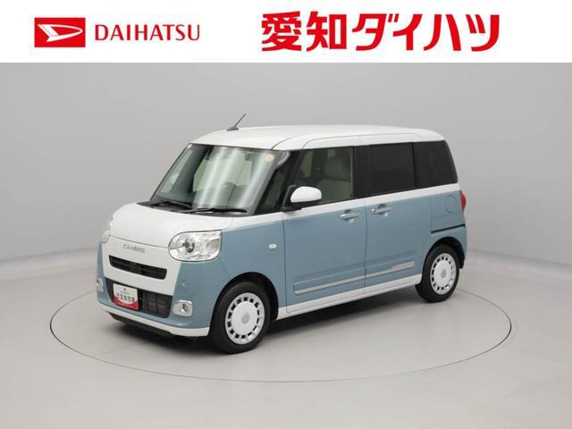 ムーヴキャンバス  ストライプス G