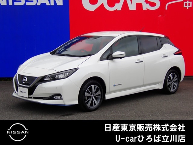 リーフ e+ X