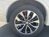 225/60R19