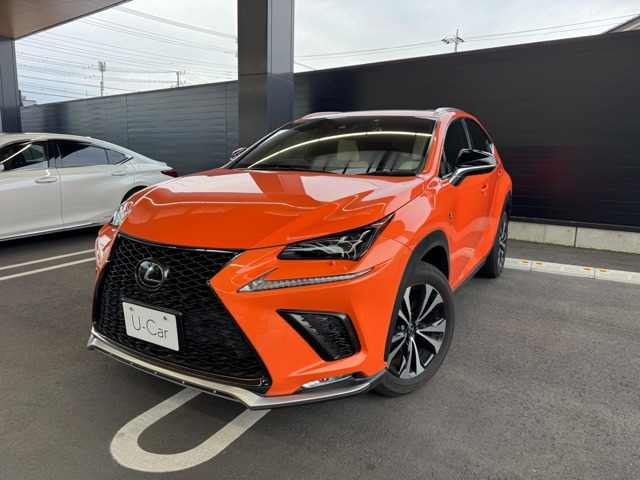 NX 300 Fスポーツ 4WD 