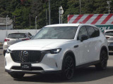 車に乗るために駐車場へ行くと、この姿が待っている・・・理想の環境だと思います。