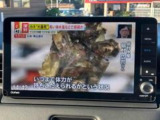 展示車両は、すべて厳しい基準をクリアした厳選中古車ばかりです!