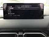 オーディオソースはこのようになっています。