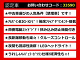 アルファード 2.5 S Aパッケージ アルパインBIGX 大画面リアモニター