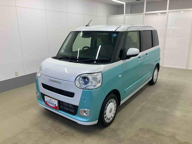 ムーヴキャンバス  ストライプス G