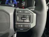 ステアリングスイッチ付き。前方から目を離すことなく操作することが可能です。