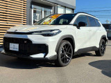 斜めからのフロントビュー。