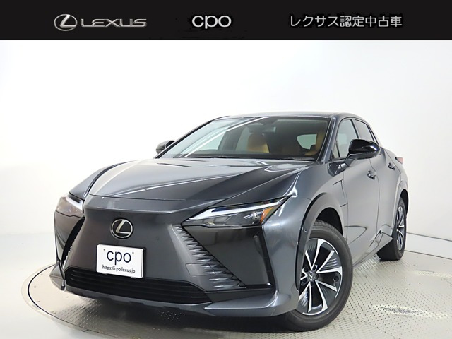 RZ 300e バージョンL 