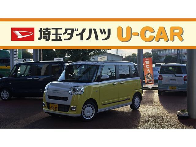 ムーヴキャンバス  ストライプス G