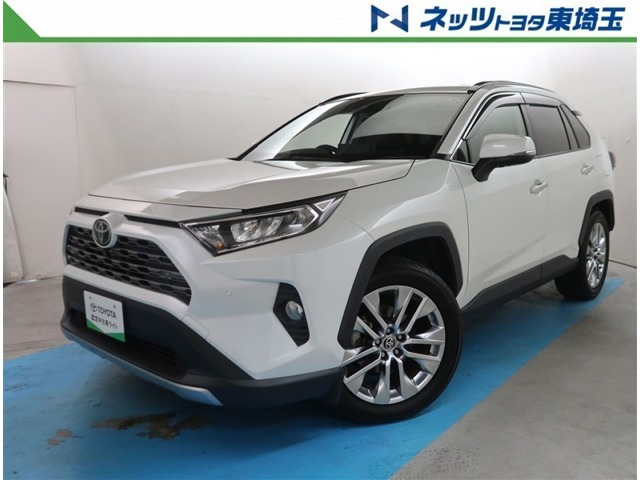 RAV4  2.0 G Zパッケージ 4WD