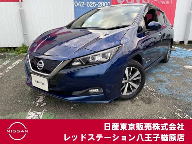 リーフ e+ X