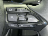 ステアリングスイッチ付き。前方から目を離すことなく操作することが可能です。