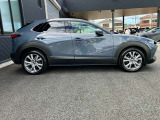 無駄なプレスラインはいらない。MAZDAの考える引き算の美学。 景色の映り込みや外光で表情を変えるボディーパネル