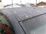 ルーフの運転席側前方にサビがあります。