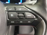 ハンドルのスイッチで高速道路や幹線道路で運転をサポートしてくれるオートクルーズコントロールの操作ができます。