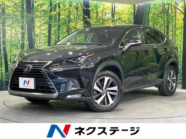 NX 200t Iパッケージ 