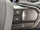 前方の車との車間を設定し、スピードを上げたり緩めたりを自動で行ってくれる追尾式の「レーダークルーズ」。上級装備の一つです!高級車にしかつかない嬉しい機能です。