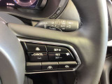 ステアリングスイッチで、先行車に自動追従するアダプティブクルーズコントロールが作動可能。設定した車速内での車間距離を自動で調整・維持。高速道路の渋滞時もアクセル・ブレーキ操作から解放されます。