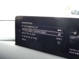 夜間走行時の視界確認を補助するライト系装備です。