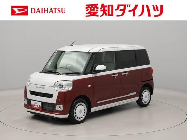 ムーヴキャンバス  ストライプス G