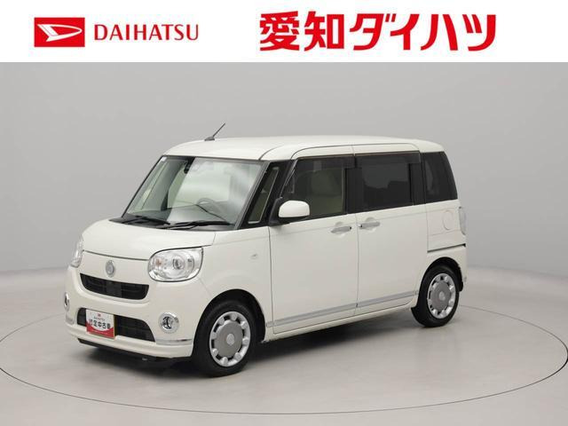 ムーヴキャンバス G メイクアップ リミテッド SAIII 