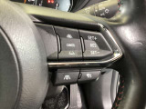 ステアリングスイッチで、先行車に自動追従するアダプティブクルーズコントロールが作動可能。設定した車速内での車間距離を自動で調整・維持。高速道路の渋滞時もアクセル・ブレーキ操作から解放されます。