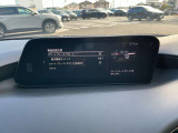 安全装備の細かい設定もここからできます。