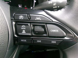 クルーズコントロールで一定速度をキープできます。運転の疲労も軽減してくれ、燃費節約にも役立ちます。ロングドライブの頼もしい味方ですね。