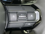 ステアリングスイッチ付き。前方から目を離すことなく操作することが可能です。