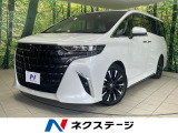 4WD ガラスルーフ 両側電動ドア 14型メーカーナビ 14型後席モニタ