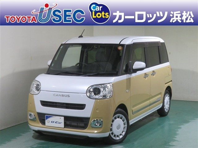 ムーヴキャンバス  ストライプス G