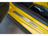 Door sill guards in Aluminium