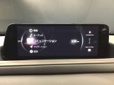 オーディオソースはこのようになっています。