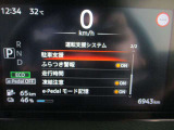 ■運転支援システム(駐車支援(ソナー)、ふらつき警報、走行時間、凍結注意、e-Pedalモード記憶)