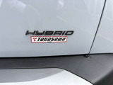 HYBRID