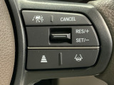 クルーズコントロールを装備しています。高速道路などで一定の速度で走ってくれるので運転が楽ですよ!速度を設定できますので、スピードの出しすぎにも注意できます。